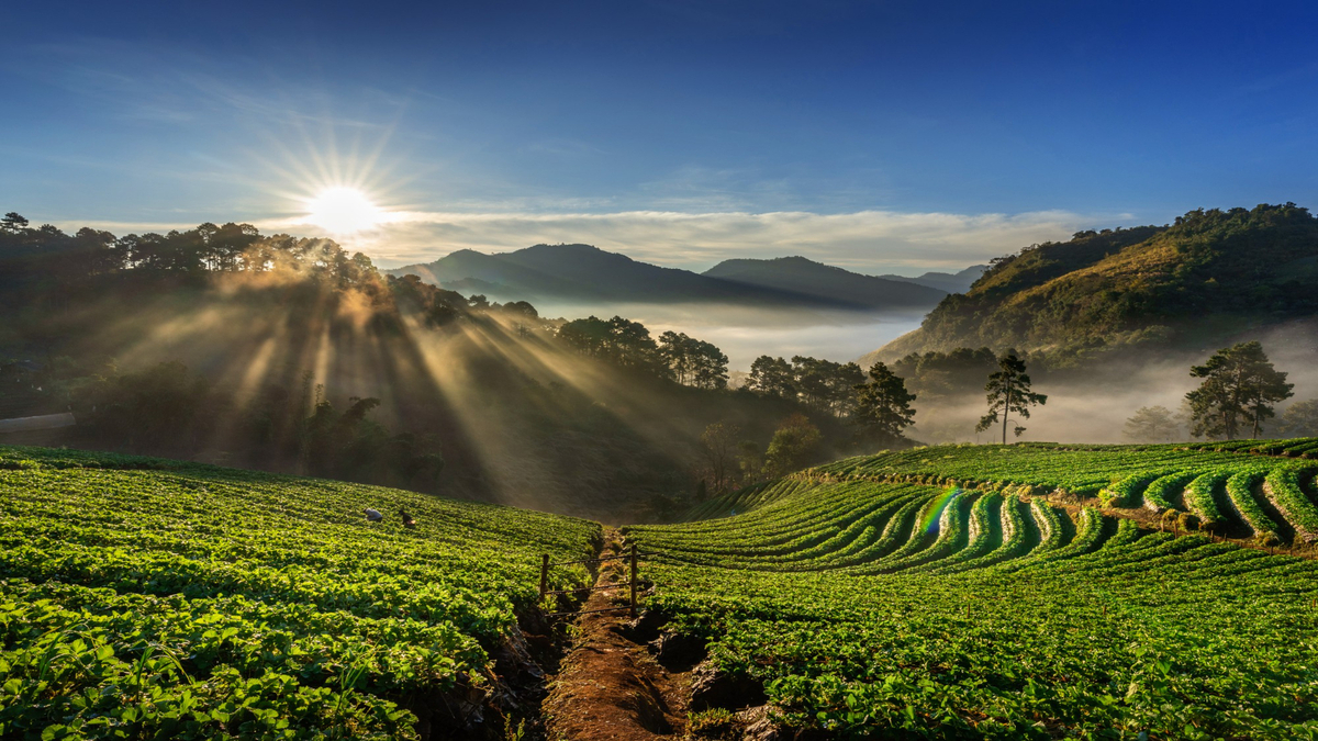 View of Coorg 1